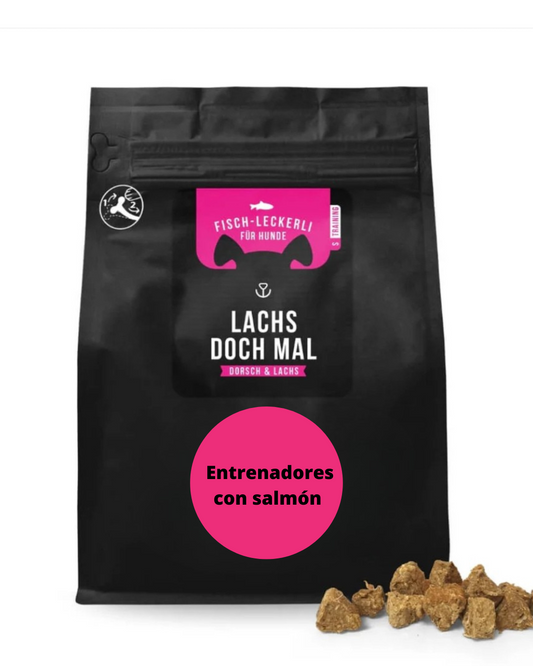 Entrenadores con salmón - snack natural