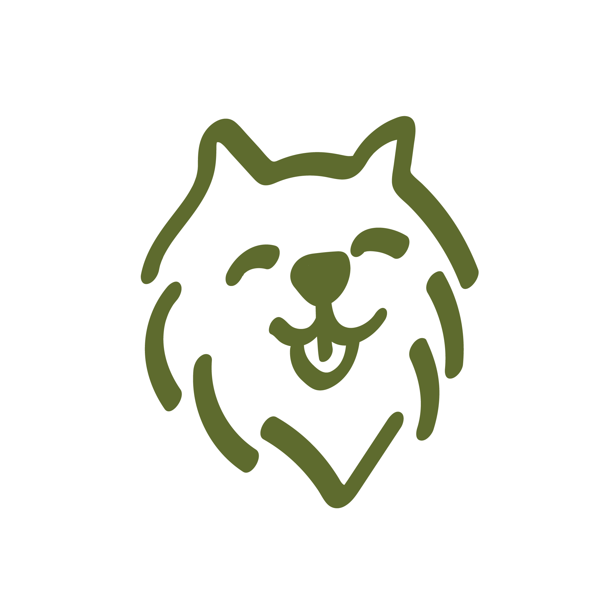 Saludable, formulado por veterinarios y nutricionistas